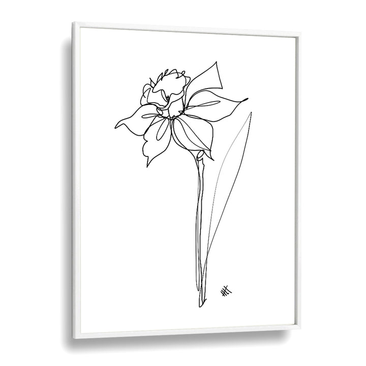 The Daffodil Line Art Artwork in White Plain Frame