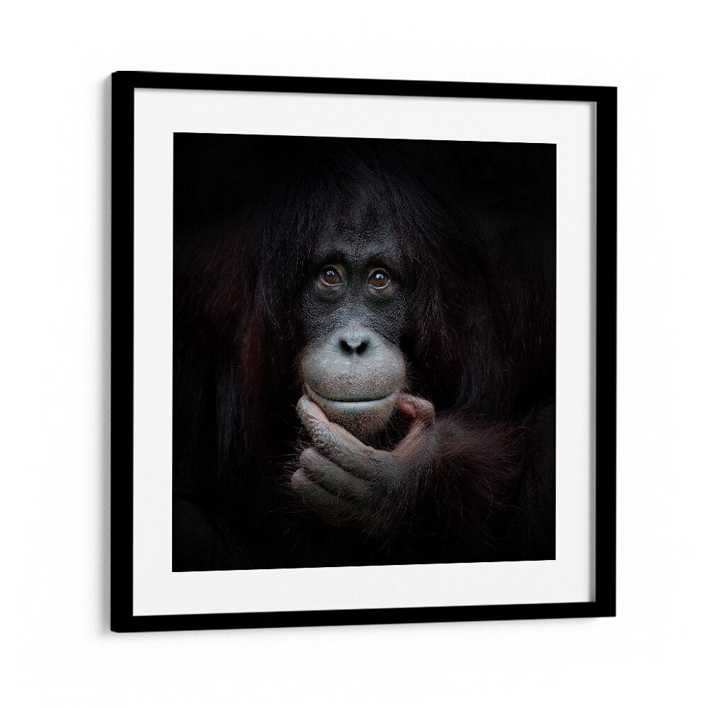 THE MIRROR IMAGE WILDLIFE-PHOTOGRAPHY in Black Frame With Mount