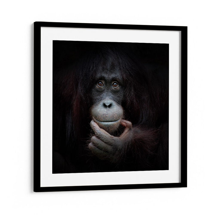 THE MIRROR IMAGE WILDLIFE-PHOTOGRAPHY in Black Frame With Mount