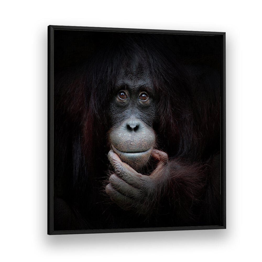 THE MIRROR IMAGE WILDLIFE-PHOTOGRAPHY in Black Plain Frame