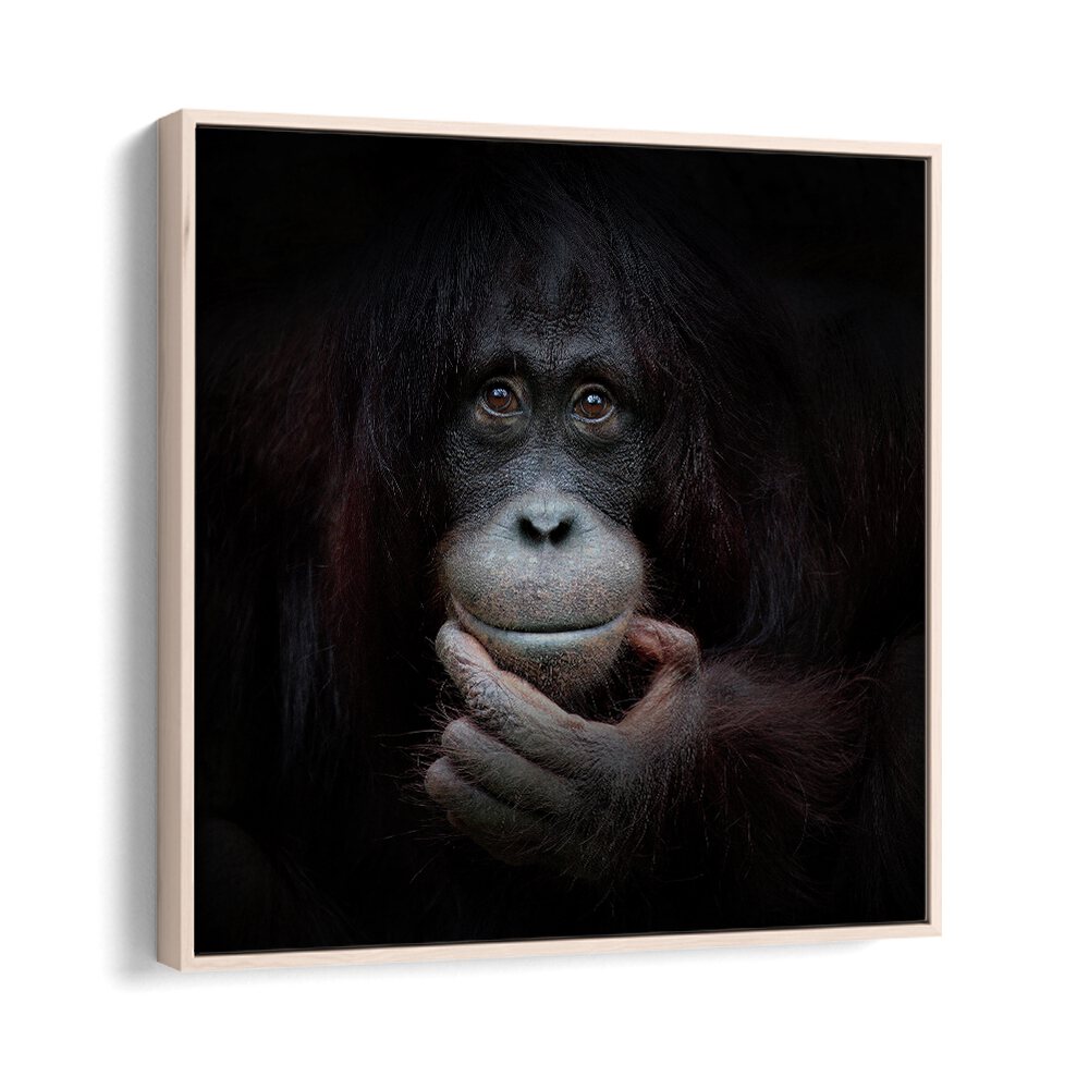 THE MIRROR IMAGE WILDLIFE-PHOTOGRAPHY in Oak Wood Floater Frame