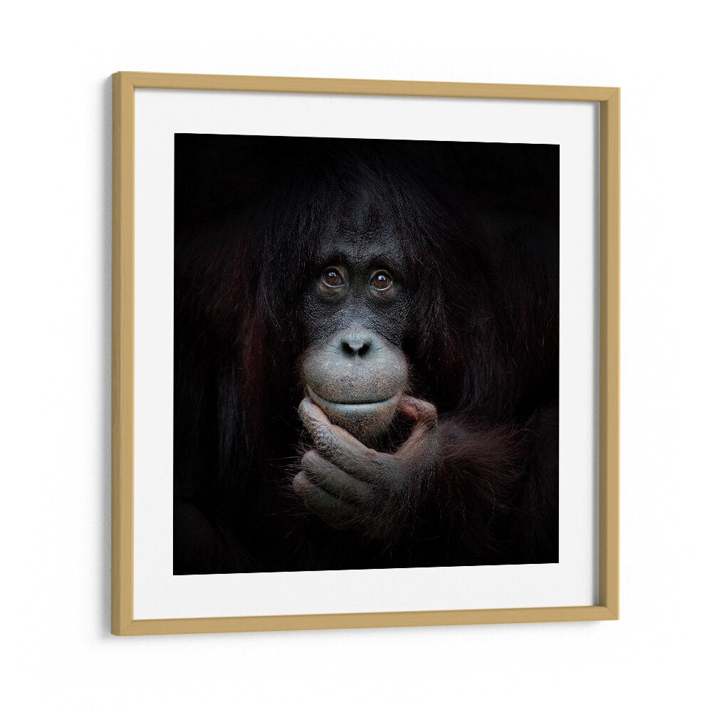 THE MIRROR IMAGE WILDLIFE-PHOTOGRAPHY in Oak Wood Frame With Mount