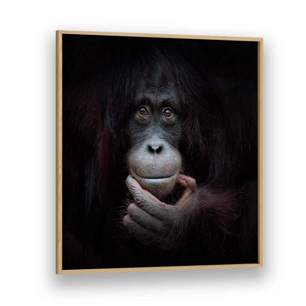 THE MIRROR IMAGE WILDLIFE-PHOTOGRAPHY in Oak Wood Plain Frame