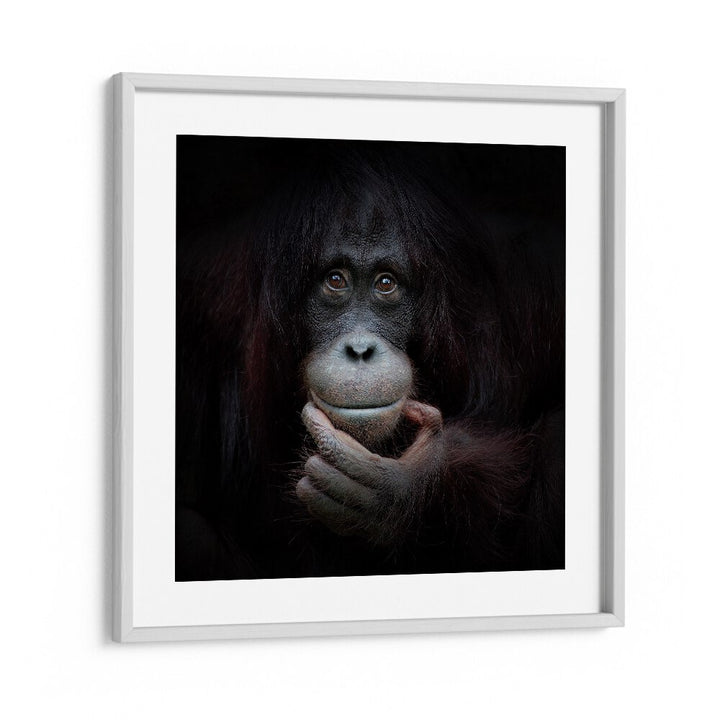 THE MIRROR IMAGE WILDLIFE-PHOTOGRAPHY in White Frame With Mount