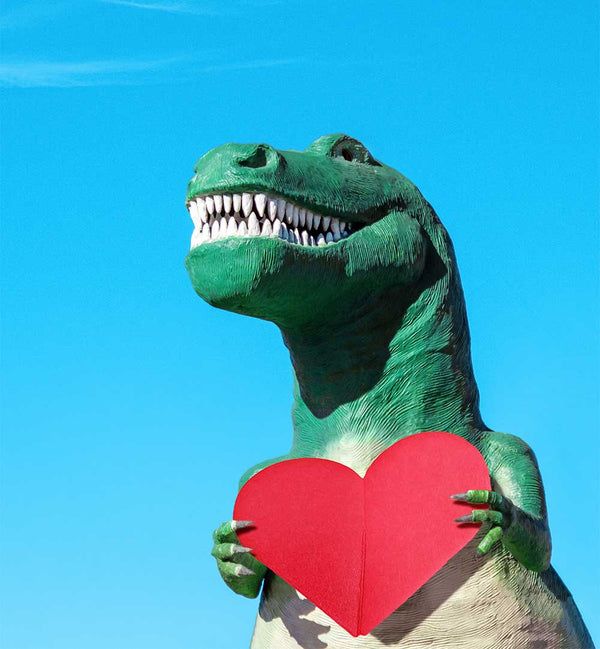 TOM WINDEKNECHT - PHOTOGRAPHER