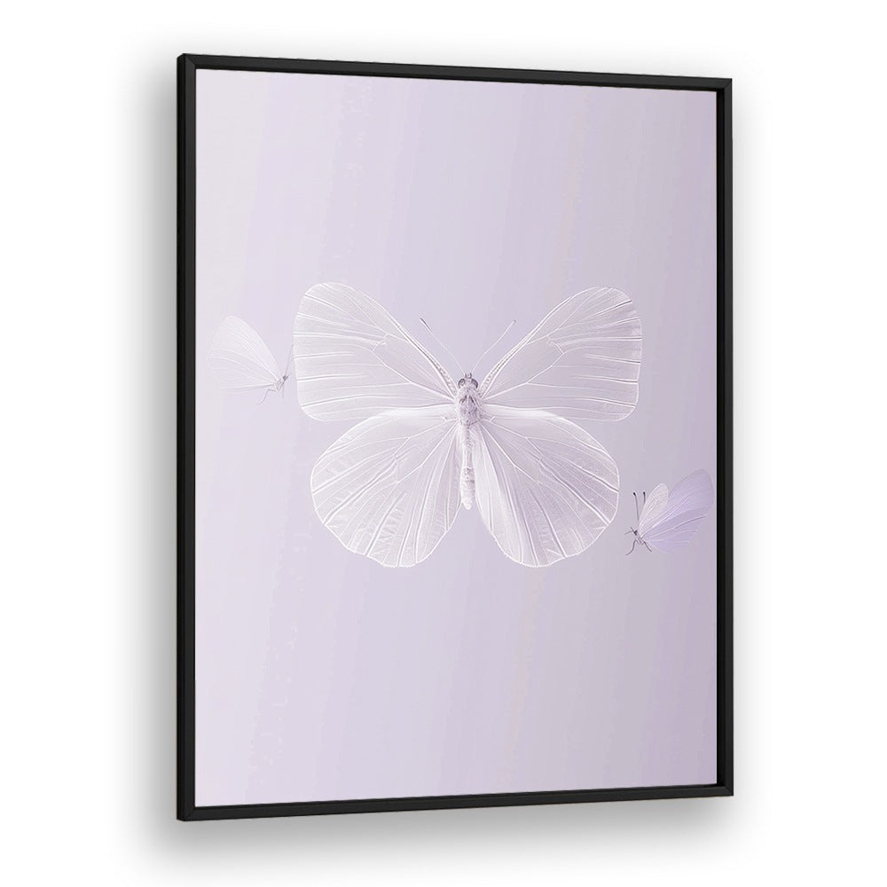 Translucent Butterfly Kids art Artwork in Black Plain Frame
