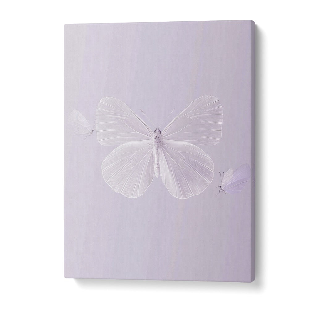 Translucent Butterfly Kids Art Artwork in Gallery Wrap
