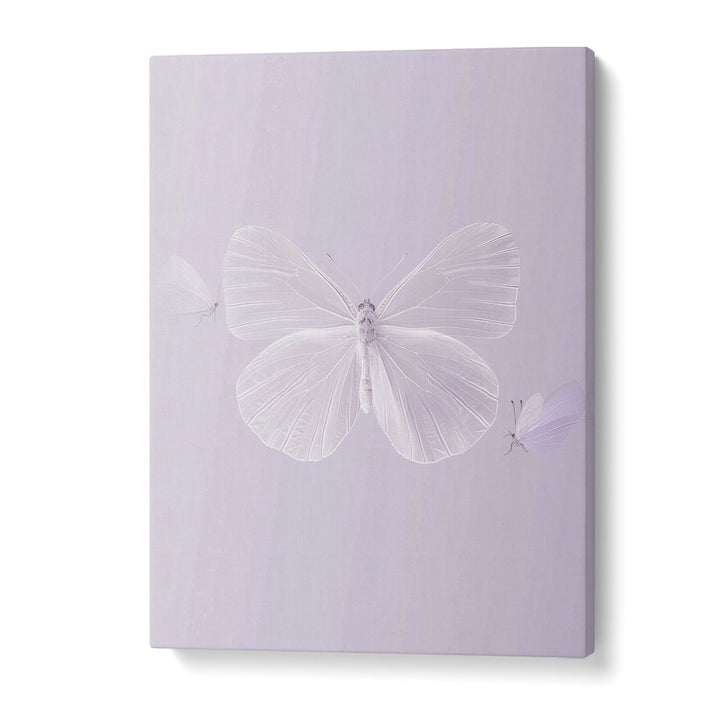 Translucent Butterfly Kids Art Artwork in Gallery Wrap
