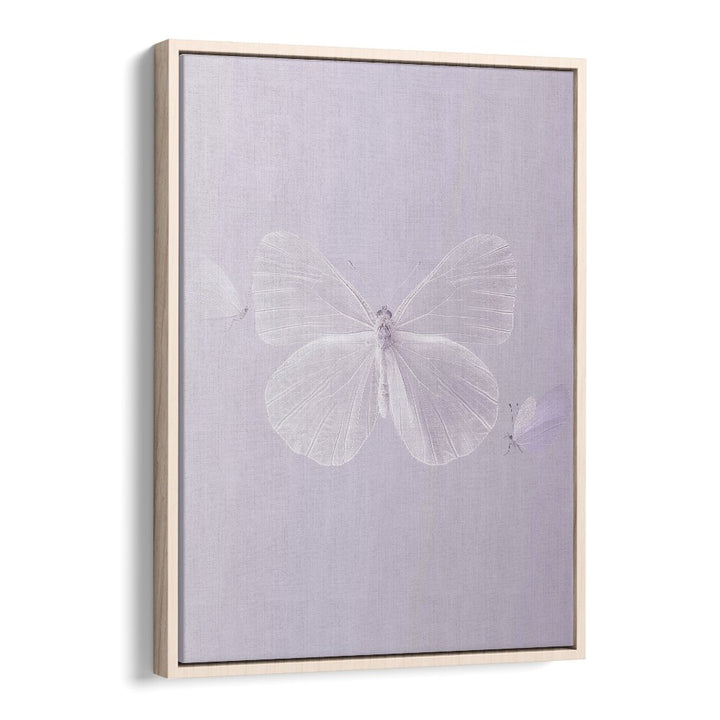 Translucent Butterfly Kids Art Artwork in Oak Wood Floater Frame
