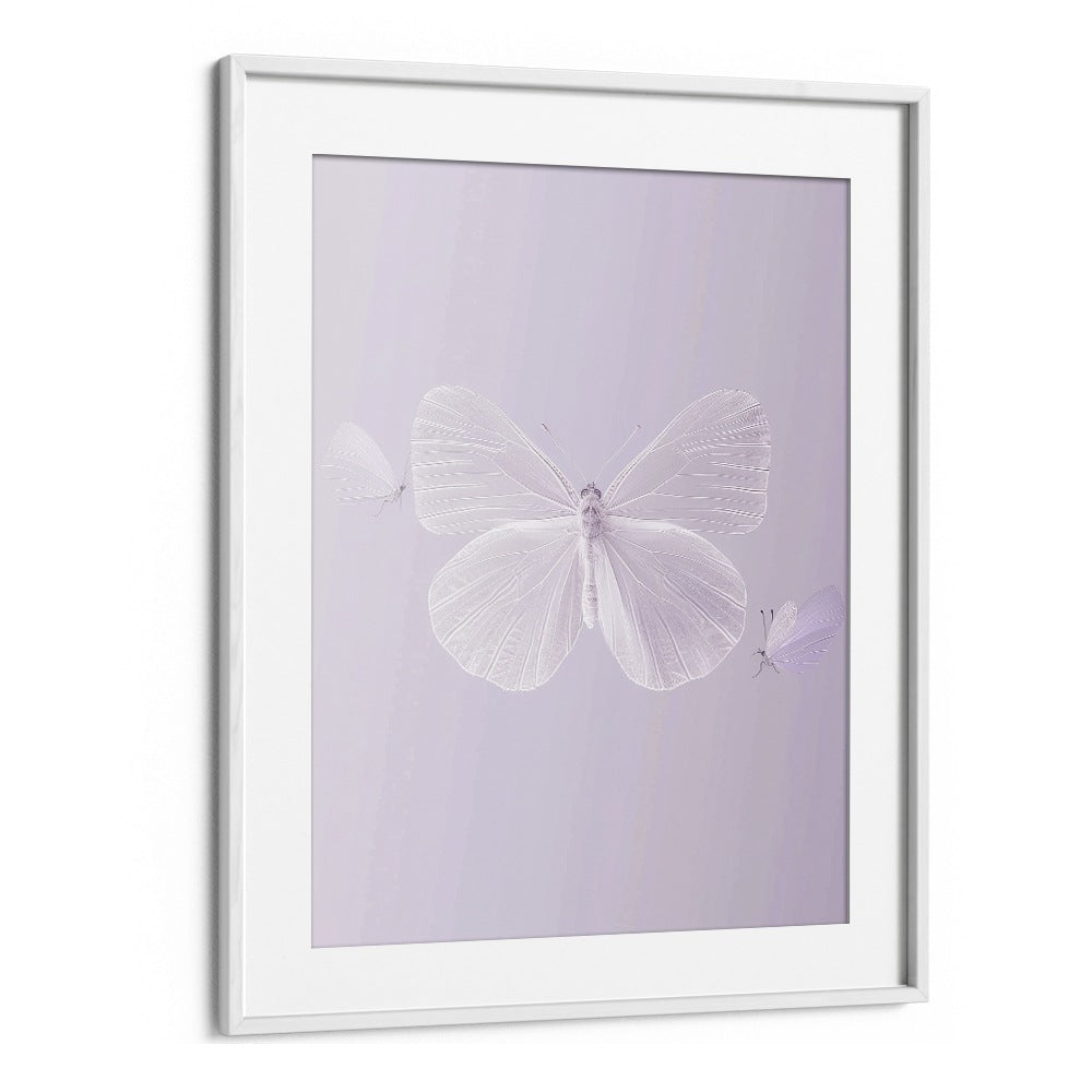 Translucent Butterfly Kids Art Artwork in White Frame With Mount