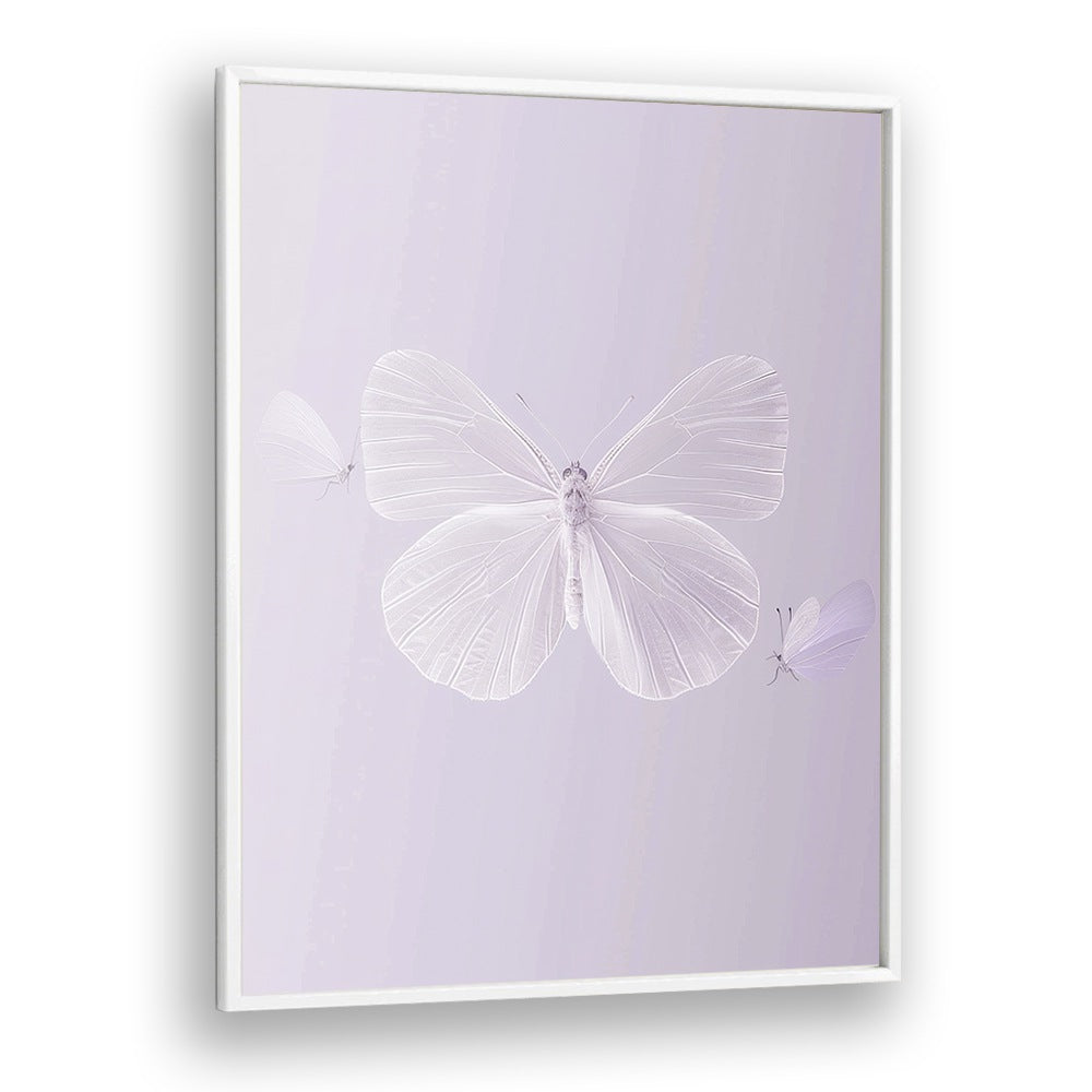 Translucent Butterfly Kids art Artwork in White Plain Frame
