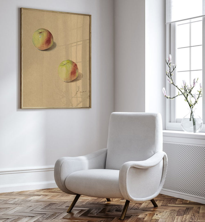TWO APPLES , VINTAGE PAINTINGS