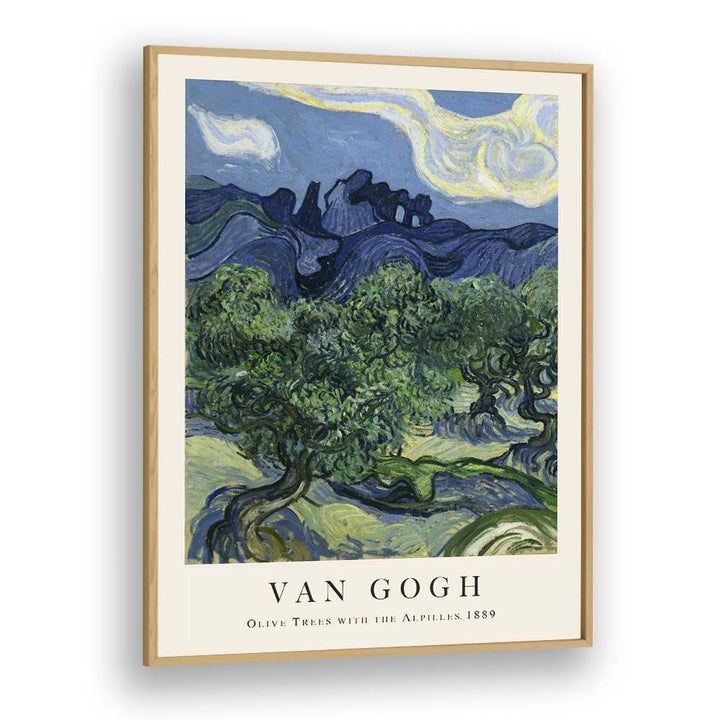 Van Gogh's Olive Groves Olive Trees With The Alpilles, 1889 Vincent Van Gogh art painting Artwork in Oak Wood Plain Frame