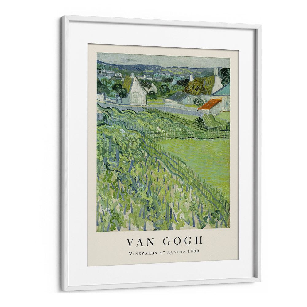 Vineyards At Auvers A Homeage To Van Gogh's 1890 Vincent Van Gogh art painting Artwork in White frame With Mount