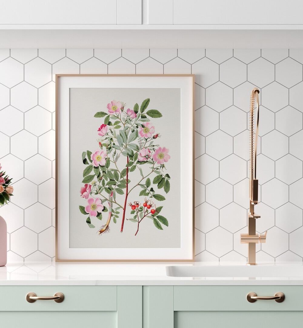 Vintage Pink Smooth   Botanical Flower Paintings Artwork Placed on a wall