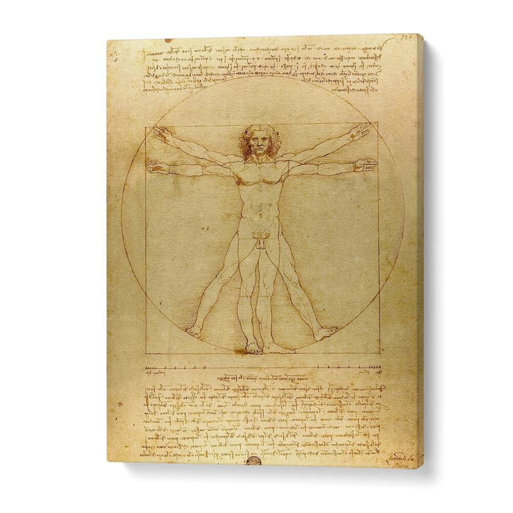 Vitruvian Man Leonardo Da Vinci art painting Artwork in Gallery Wrap