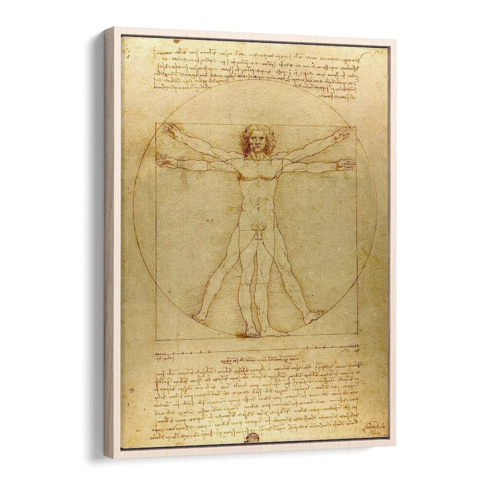 Vitruvian Man Leonardo Da Vinci art painting Artwork in Oak Wood Floater Frame