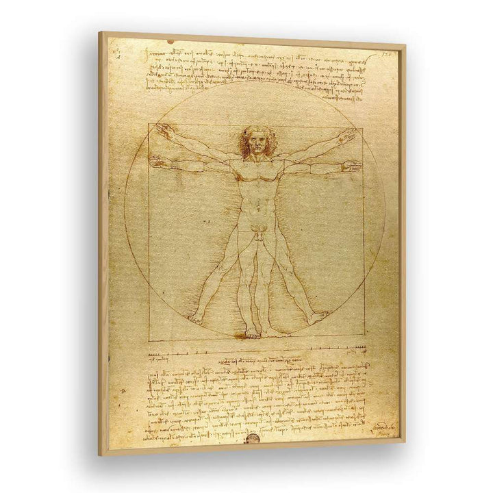 Vitruvian Man Leonardo Da Vinci art painting Artwork in Oak Wood Plain Frame