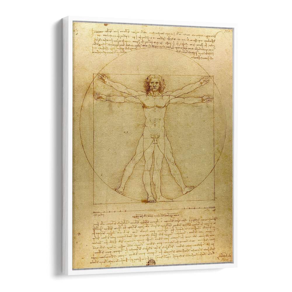 Vitruvian Man Leonardo Da Vinci art painting Artwork in White Floater Frame