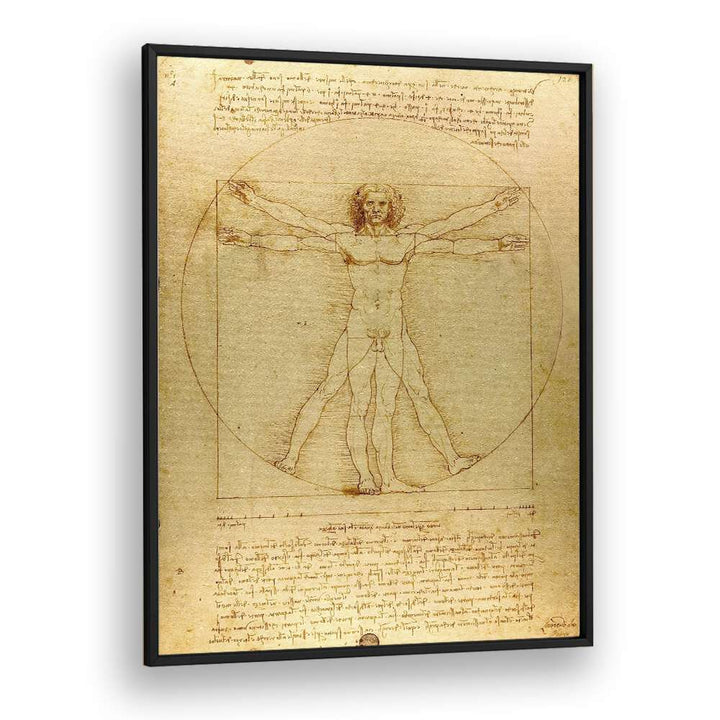 Vitruvian Man Vintage Paintings in Black Plain Frame