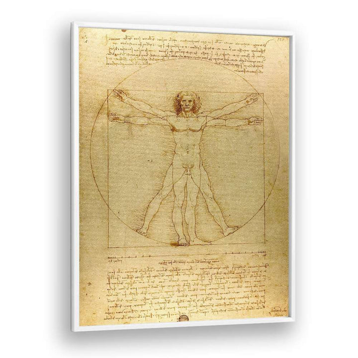 Vitruvian Man Vintage Paintings in White Plain Frame