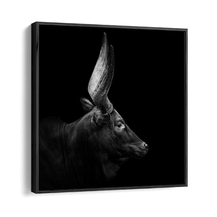 WATUSI II WILDLIFE PHOTOGRAPHY in Black Floater Frame