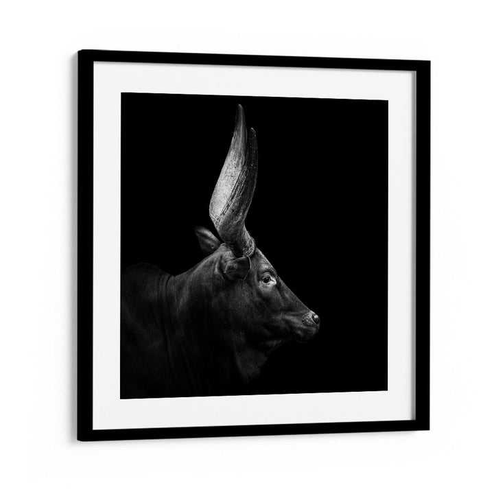 WATUSI II WILDLIFE PHOTOGRAPHY in Black Frame With Mount