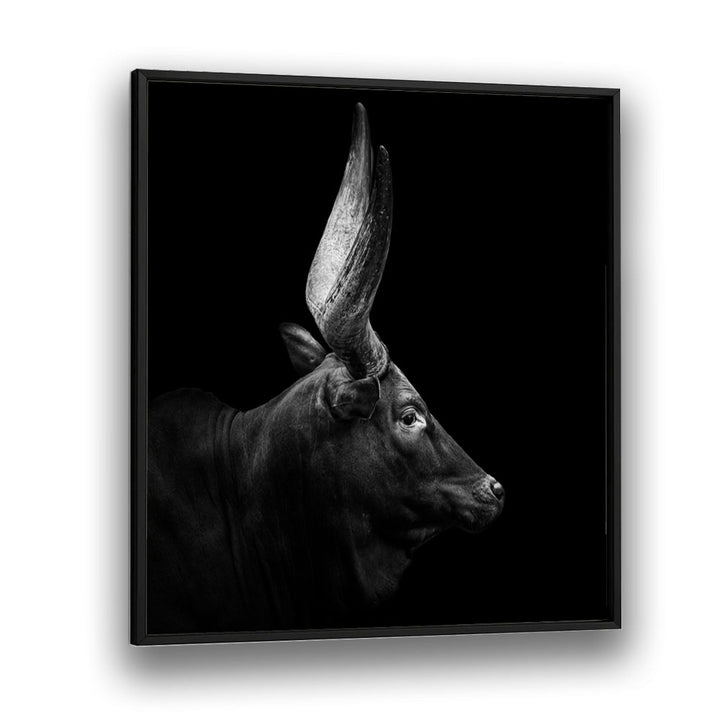 WATUSI II WILDLIFE-PHOTOGRAPHY in Black Plain Frame