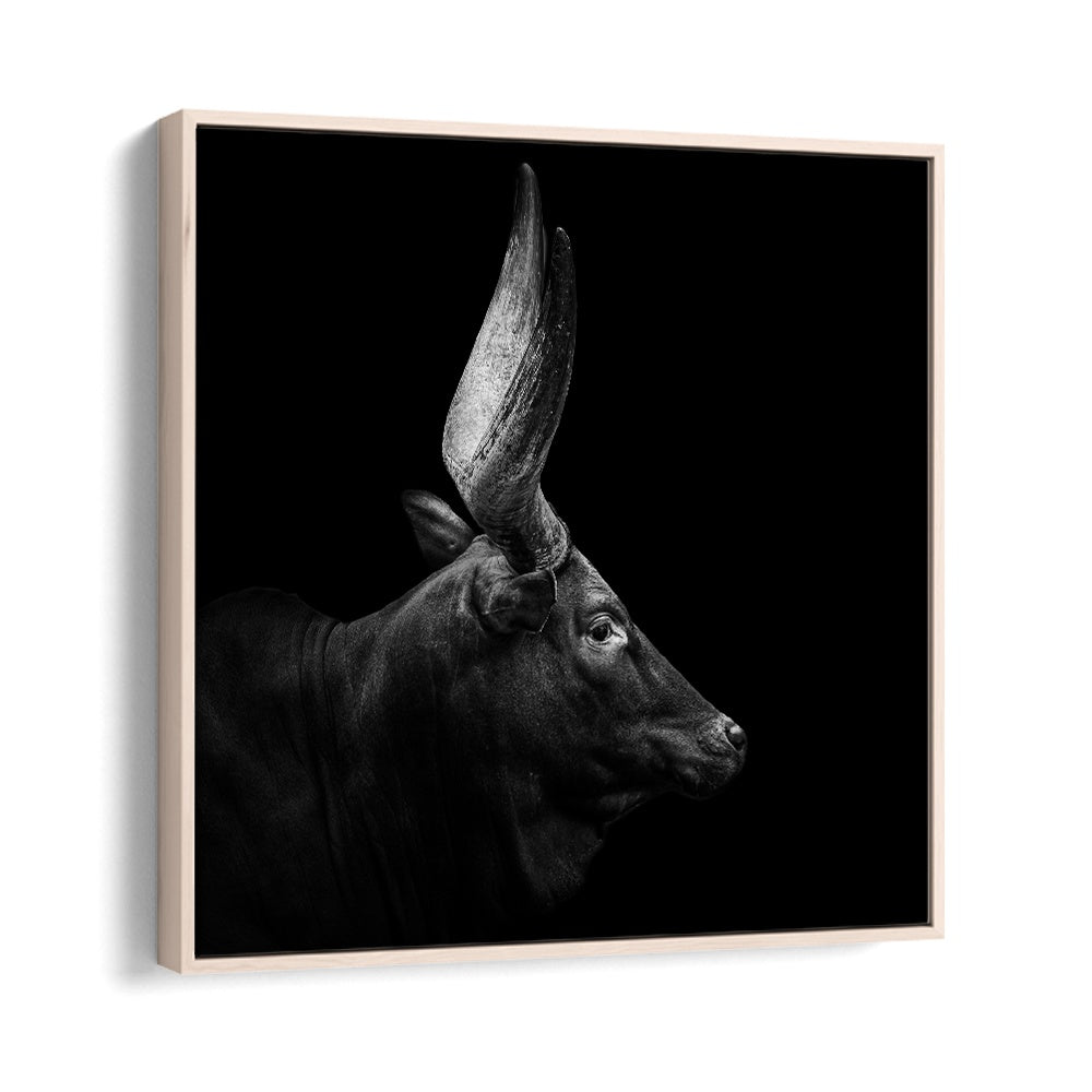 WATUSI II WILDLIFE PHOTOGRAPHY in Oak Wood Floater Frame