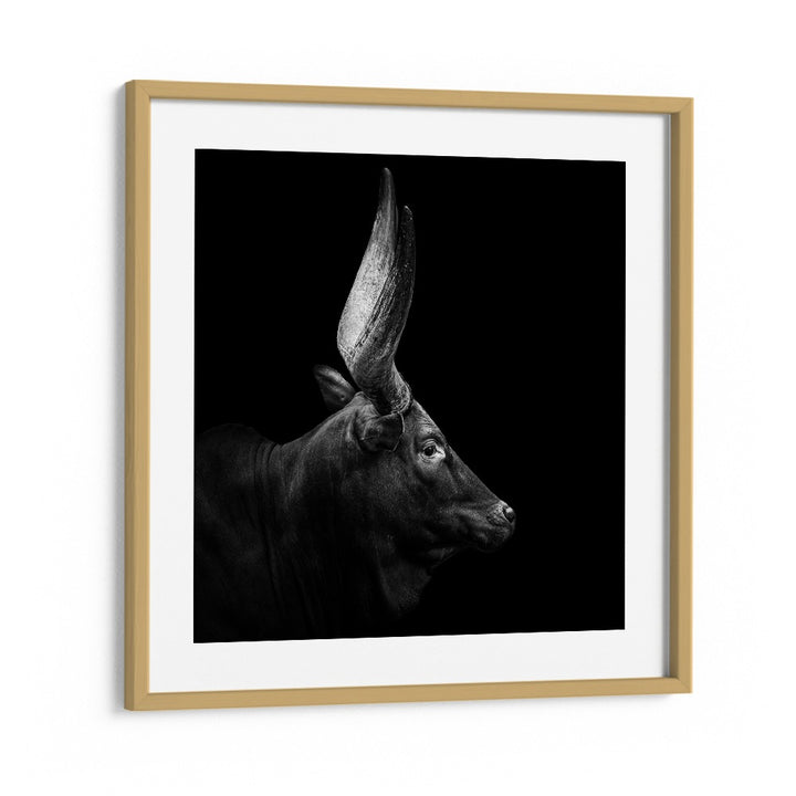 WATUSI II WILDLIFE PHOTOGRAPHY in Oak Wood Frame With Mount