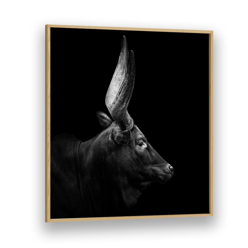 WATUSI II WILDLIFE PHOTOGRAPHY in Oak Wood Plain Frame