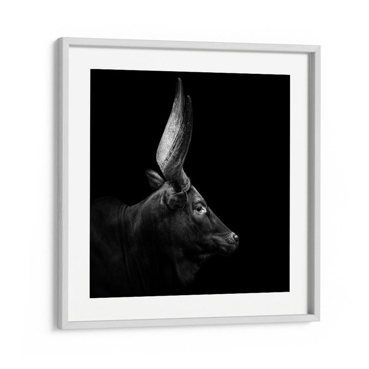 WATUSI II WILDLIFE-PHOTOGRAPHY in White Frame With Mount