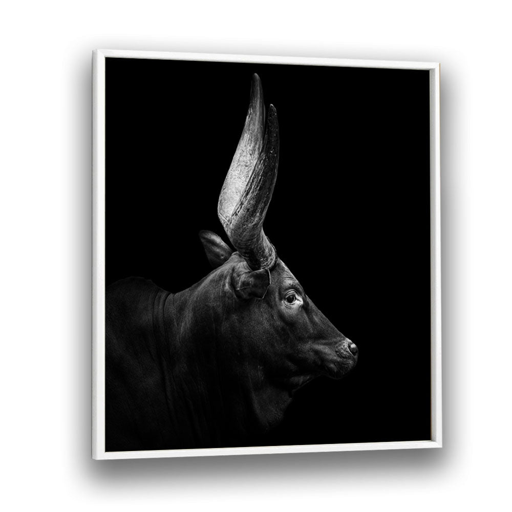 WATUSI II WILDLIFE PHOTOGRAPHY in White Plain Frame