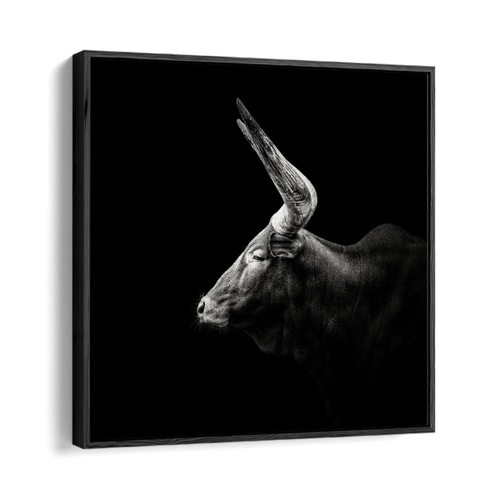 WATUSI WILDLIFE PHOTOGRAPHY in Black Floater Frame