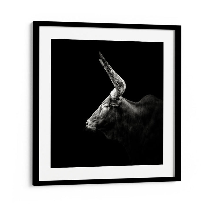 WATUSI WILDLIFE PHOTOGRAPHY in Black Frame With Mount