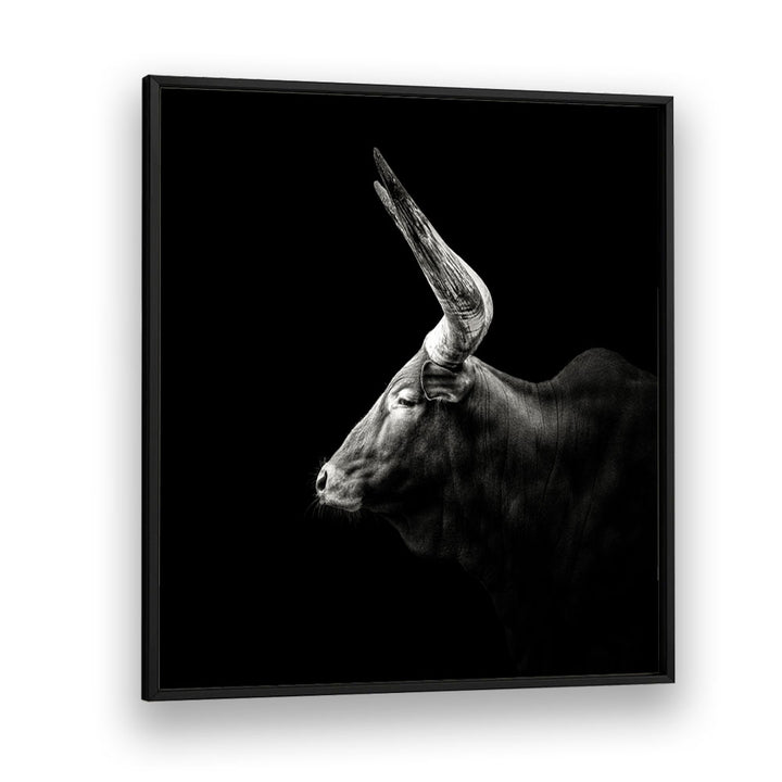 WATUSI WILDLIFE PHOTOGRAPHY in Black Plain Frame