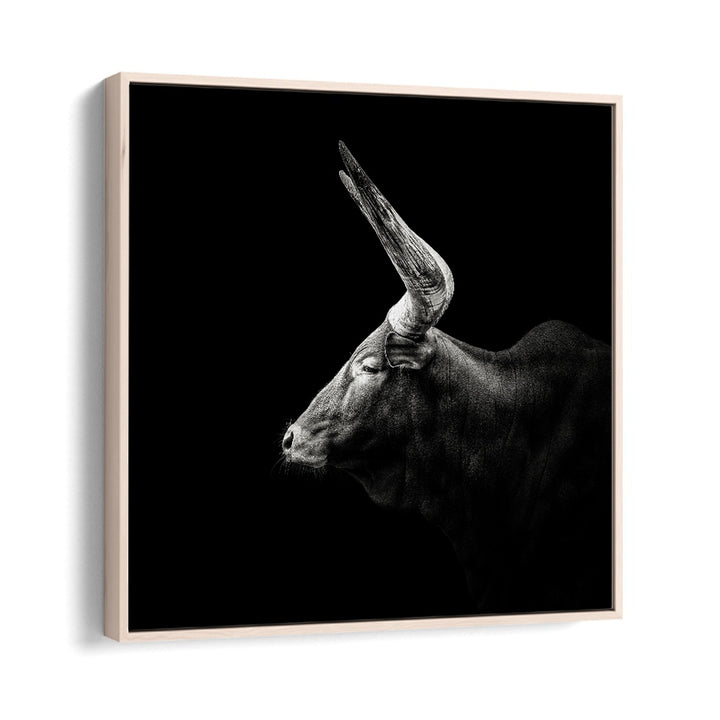 WATUSI WILDLIFE PHOTOGRAPHY in Oak Wood Floater Frame