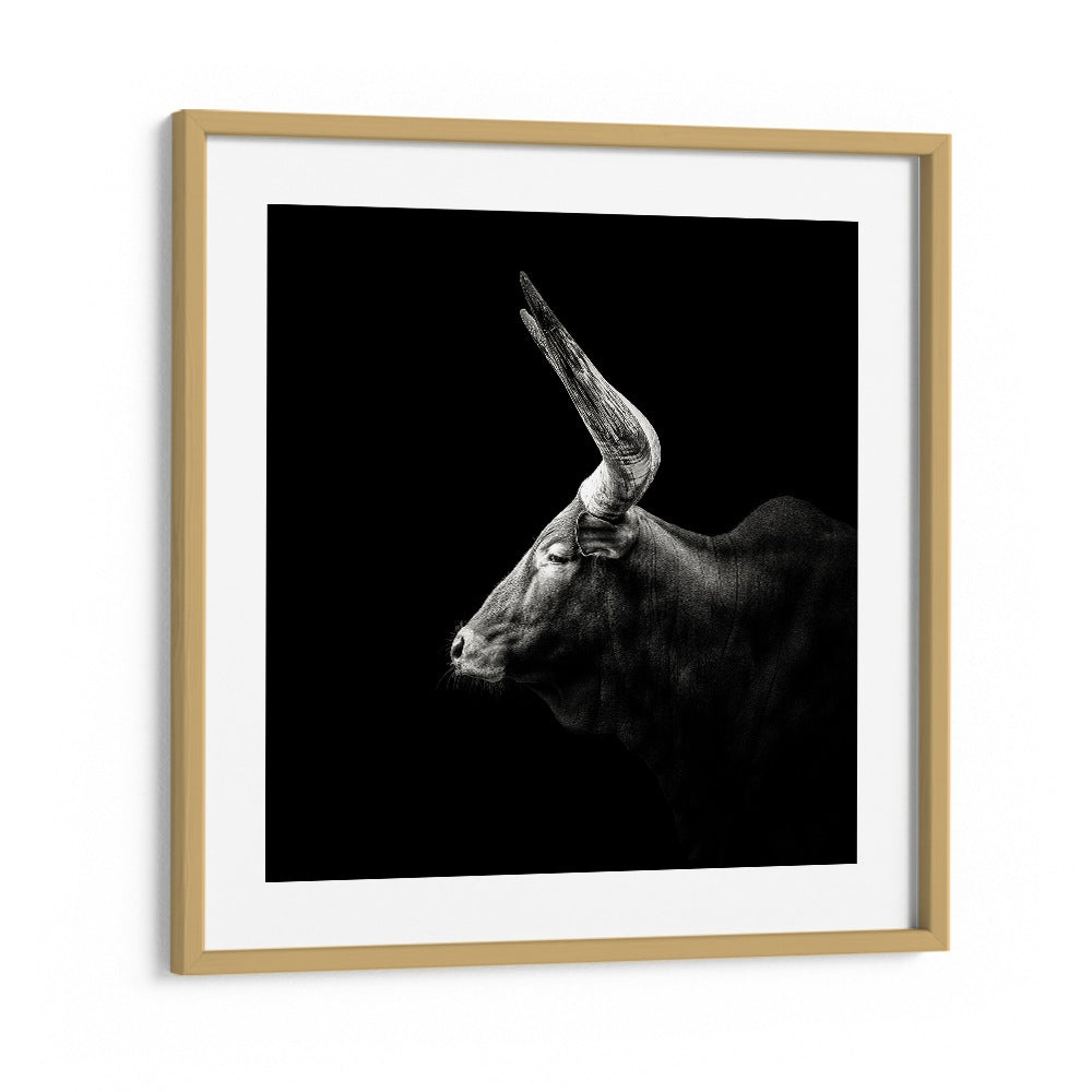 WATUSI WILDLIFE PHOTOGRAPHY in Oak Wood Frame With Mount