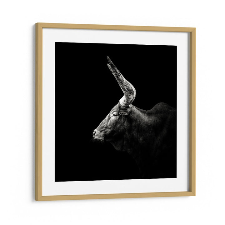 WATUSI WILDLIFE PHOTOGRAPHY in Oak Wood Frame With Mount