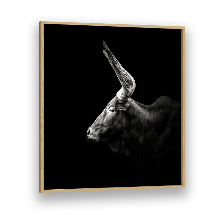 WATUSI WILDLIFE PHOTOGRAPHY in Oak Wood Plain Frame