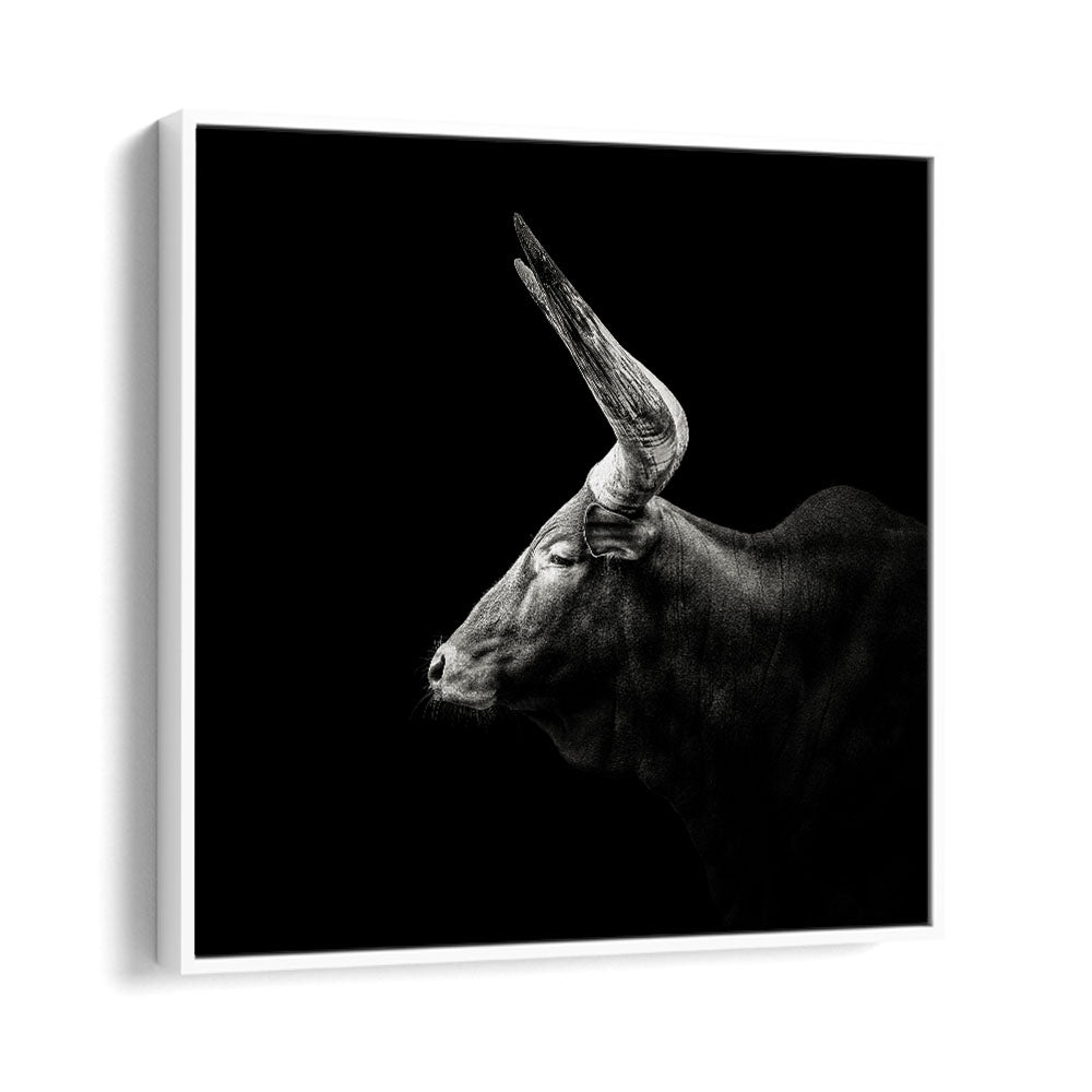 WATUSI WILDLIFE-PHOTOGRAPHY in White Floater Frame