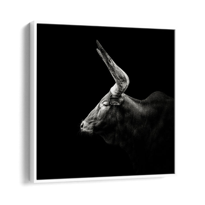 WATUSI WILDLIFE-PHOTOGRAPHY in White Floater Frame