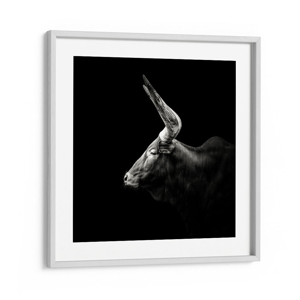 WATUSI WILDLIFE PHOTOGRAPHY in White Frame With Mount