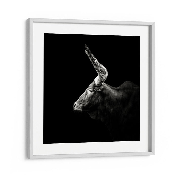 WATUSI WILDLIFE PHOTOGRAPHY in White Frame With Mount