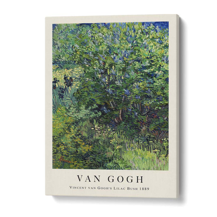 Whispers Of Spring Van Gogh's Lilac Bush, 1889 Vincent Van Gogh art painting Artwork in Gallery Wrap