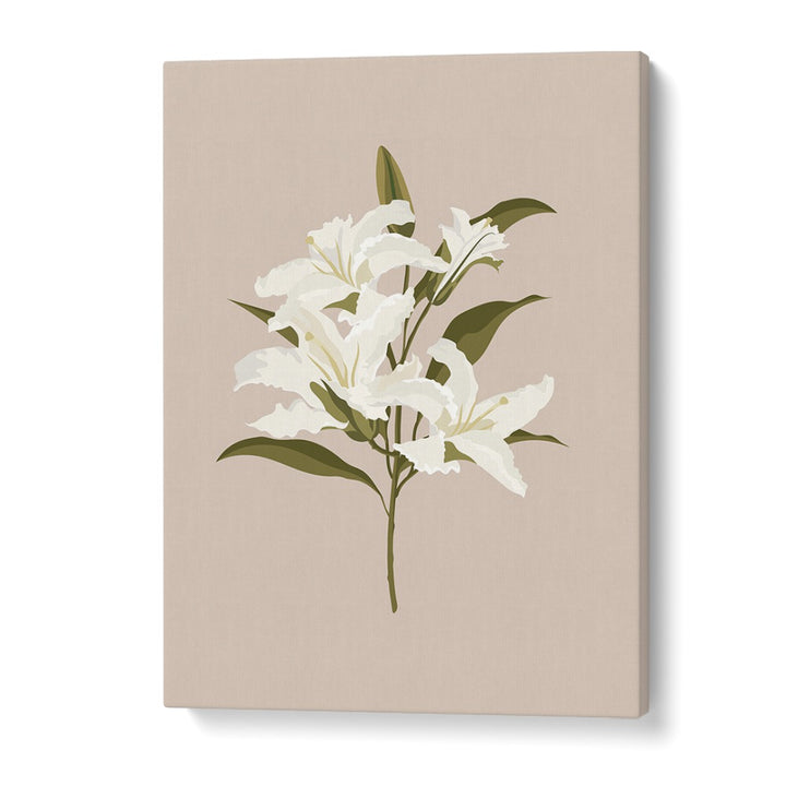 White Lilies I Botanical Flower Paintings Artwork in Gallery Wrap