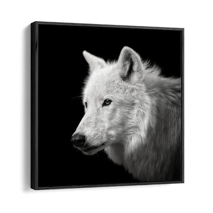 WHITE WOLF WILDLIFE PHOTOGRAPHY in Black Floater Frame