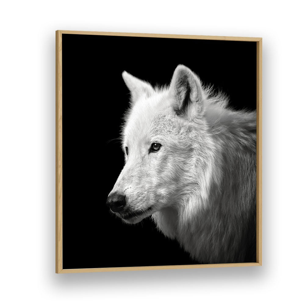 WHITE WOLF WILDLIFE PHOTOGRAPHY in Oak Wood Plain Frame