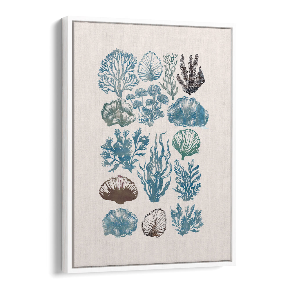 Elegant artwork from A CORAL COLLECTION, BEACH PAINTINGS features vibrant sea life illustrations on a canvas.