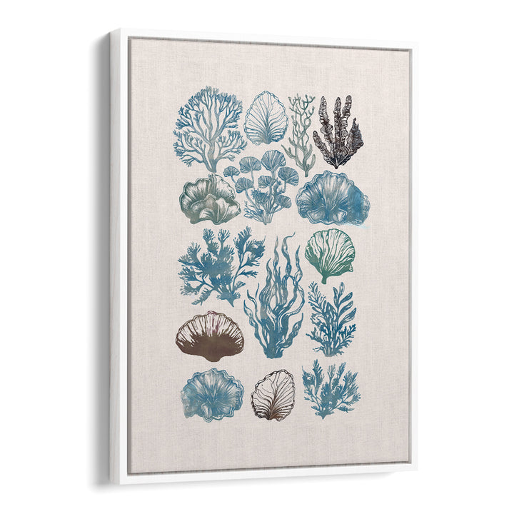 Elegant artwork from A CORAL COLLECTION, BEACH PAINTINGS features vibrant sea life illustrations on a canvas.